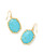 Daphne Drop Earrings - Variegated Turquoise Magnesite