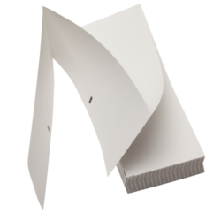 6019600_main-1.png