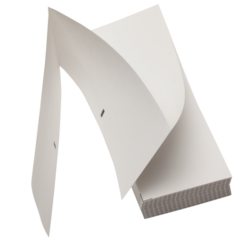 6019600_main-1.png