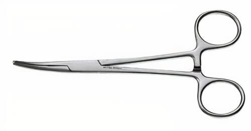N407215_main-1.jpg