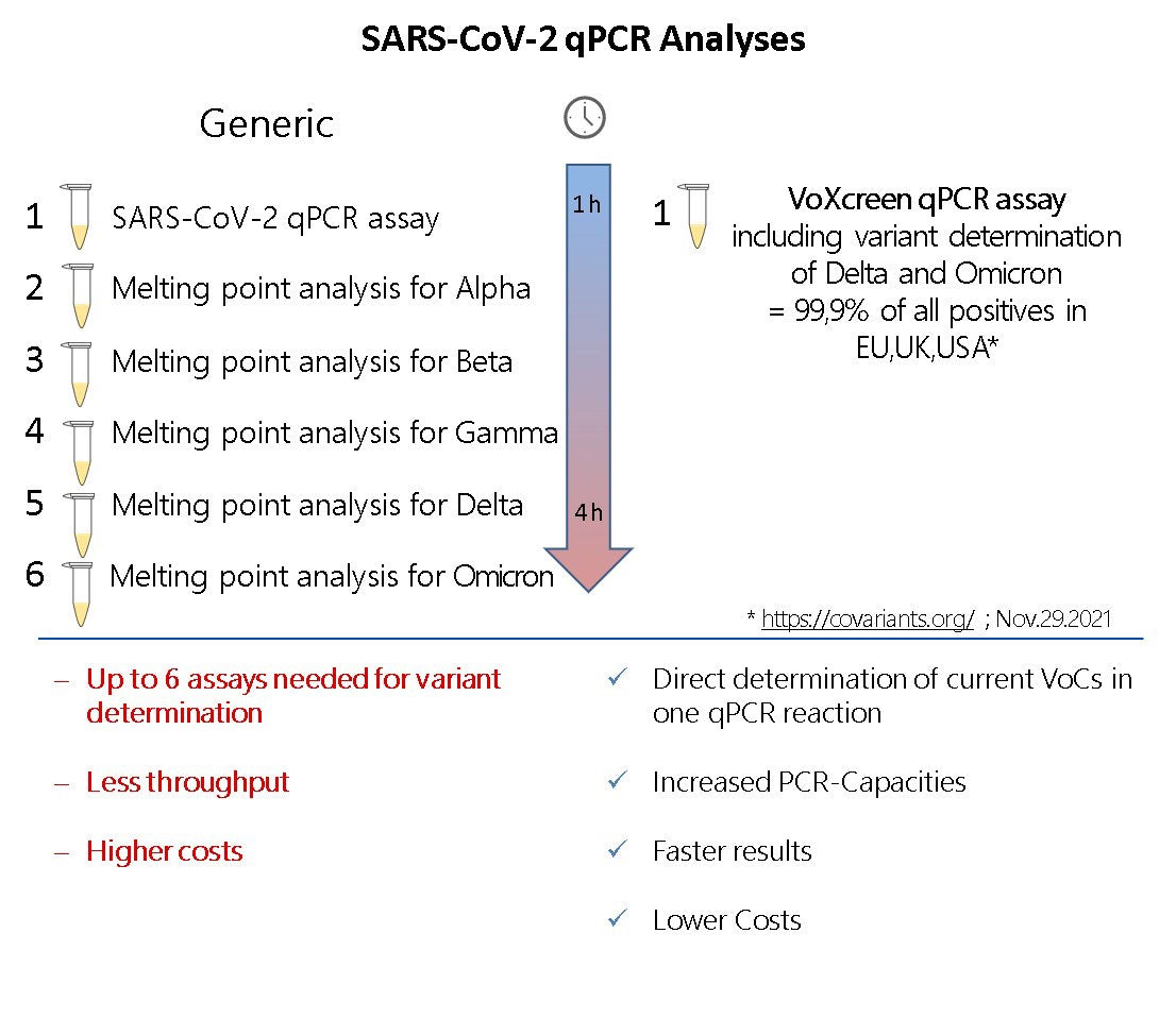 Workflow for Omicron detection