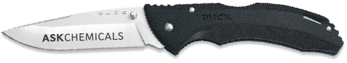 Buck Bantam BLW Lockback knife