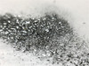 Hydrothermal tellurene nano and microcrystals by 2Dsemiconductors USA