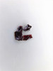 In2S3 crystals - 2Dsemiconductors USA