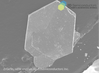 ZrGeTe4 SEM image