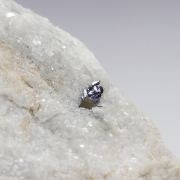 WS2 - Rare: Naturally Occurring Crystal
