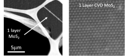 Sio2 Cvd Sem CVD/MBE - Page 2 - 2D Semiconductors