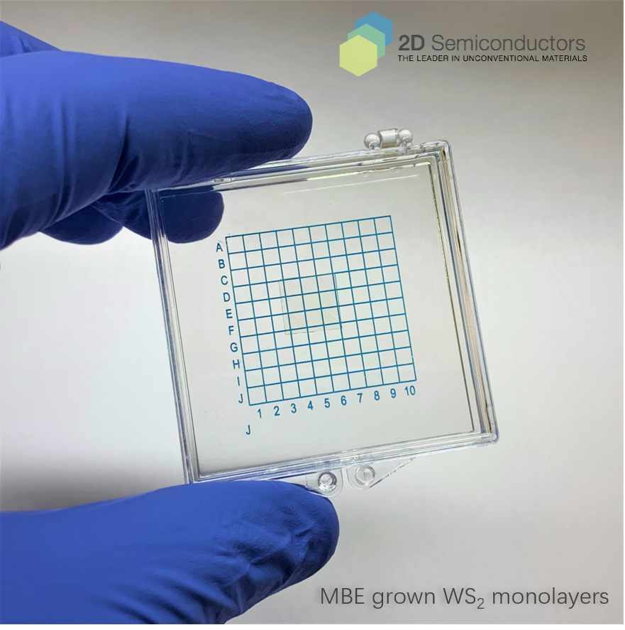 WS2 Crystal | 2D Semiconductors