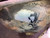 USED - MONTERO Gen 2, 2.5 - 4.63 Differential Set