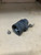 USED - MONTERO Gen 2, - Horn Relay
