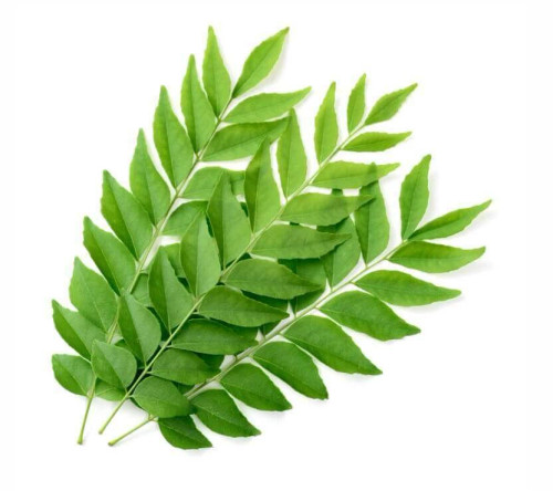 Fresh Curry Leaves(1oz)- Indian herb,indian vegetable,USA