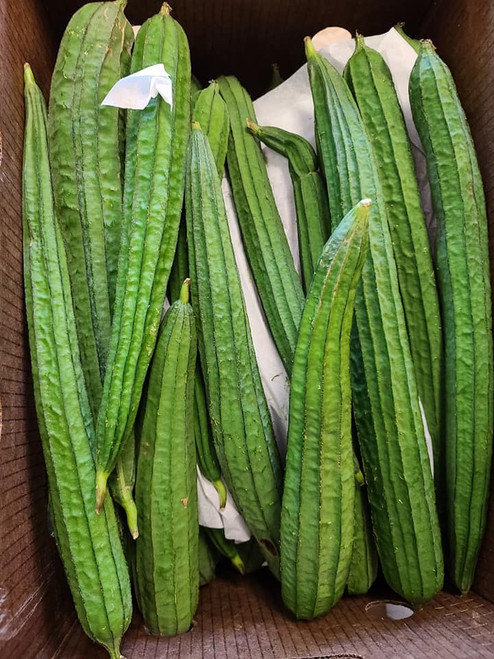 Fresh Turia(Ridge Gourd,Chinese Okra) 2lb-Indian Vegetables,USA