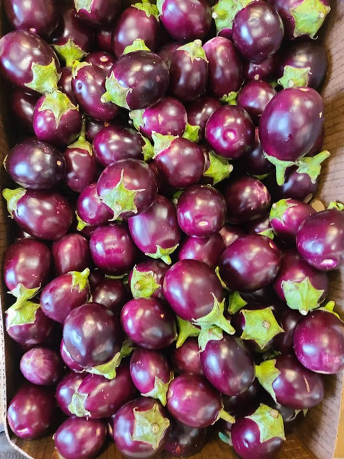 Fresh Indian Baby Eggplant (Brinjal) – Small Purple Baingan | USA