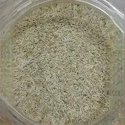 Cumin Seeds (White Zeera) 7oz- Indian Grocery,Spice,USA
