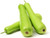 Fresh Dudhi (Bottle Gourd / Lauki) – Indian Vegetable | USA