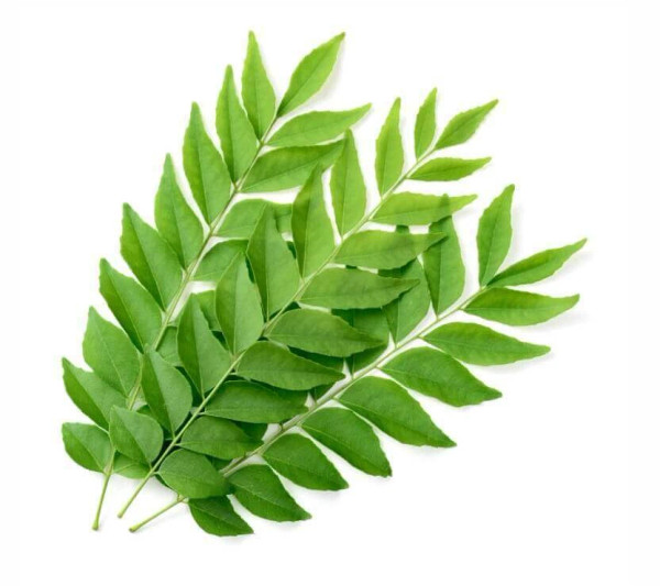 Fresh Curry Leaves Kadi PathaSri Lankan Herb,Citrus Flavor 3/4 OZ,USA