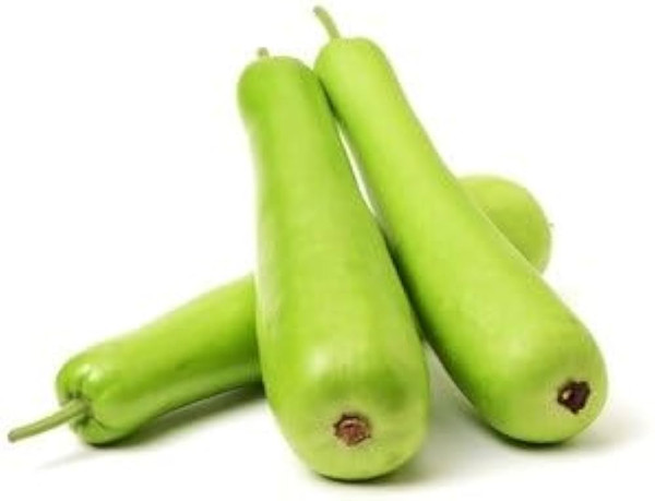 Fresh Dudhi (Bottle Gourd / Lauki) – Indian Vegetable | USA
