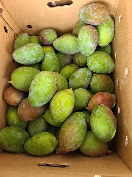 Buy fresh green raw mangoes online in the USA. Perfect for pickles, chutneys, dal, and curries. Sour, firm & farm fresh quality delivered.