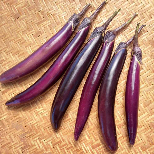 Indian Long Chinese Eggplant Fresh | Buy Online USA 5lb -Fresh Indian Vegetables,USA