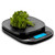 Ozeri ZK24 Garden and Kitchen Scale, with 0.5 g (0.01 oz ) Precision Weighing Technology - Weight capacity of 6000 g / 13.22 lbs