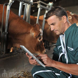 Wireless Animal Immobilisers – Improving safety in the agricultural industry