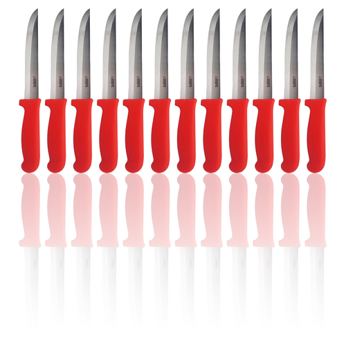 Box of 12 - 6"/15cm Straight Boning Knife - Red Fibrox Handle