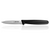 Box of 500 -  3"/ 7cm Paring Knife - Black PP Handle