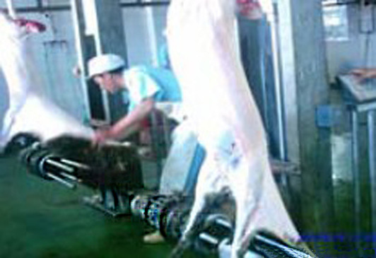 Sheep Hide Puller Roller Slide Arm, down pull max 300/ hour