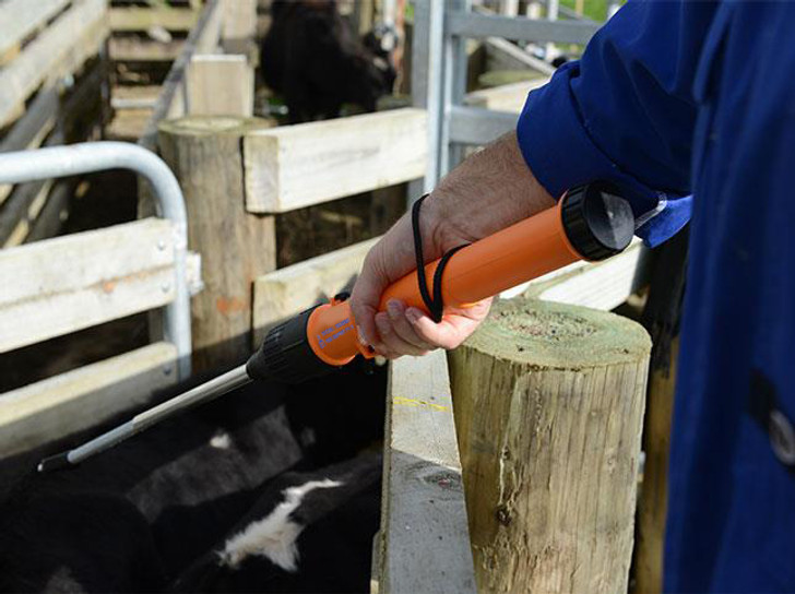 MOVIT Prodder Maxi - Full Power - 850mm Reach, Spring Steel Shaft