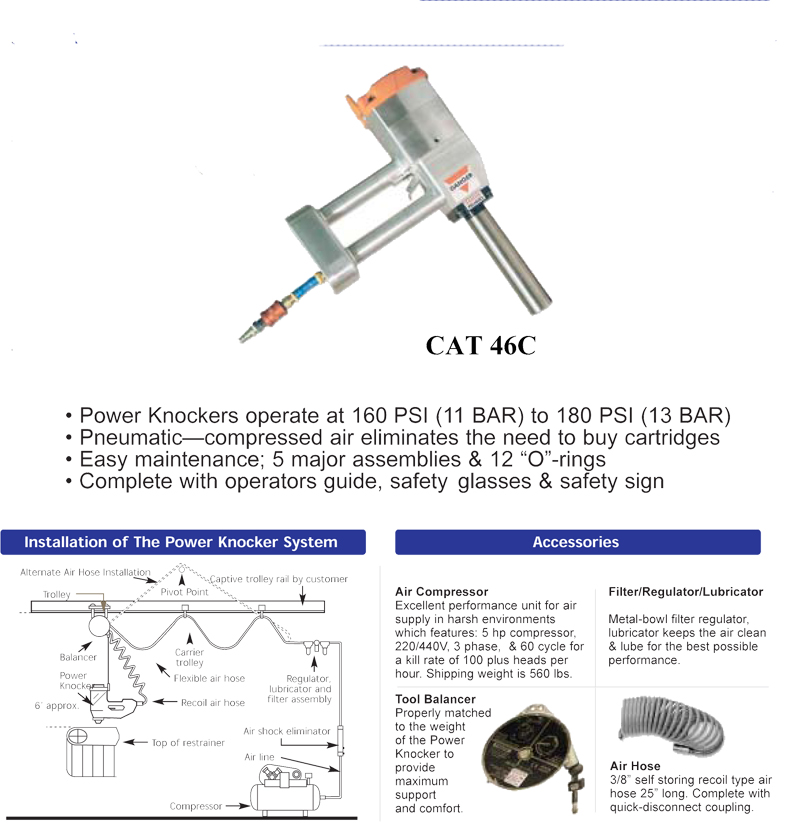 cat-46c.jpg