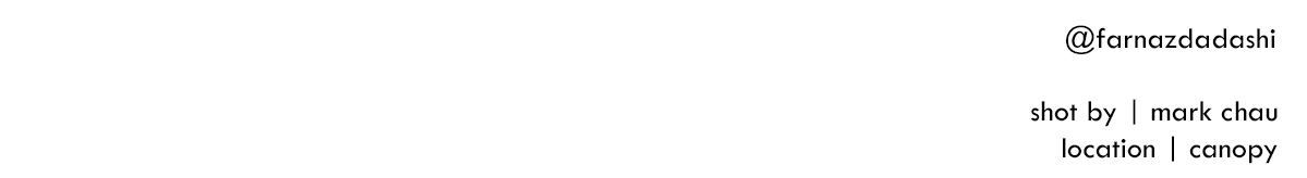 lpl-layoutfooter-farnaz.jpg