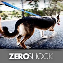Zero Shock Leashes