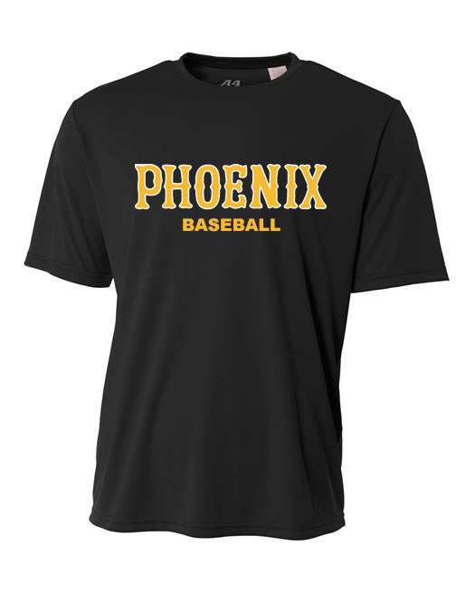 Phoenix Baseball Dri-Fit Black 