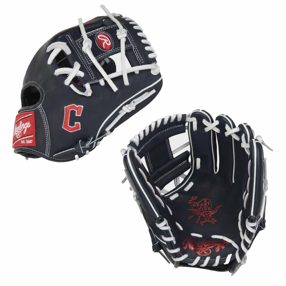 CUSTOM RAWLINGS HEART OF THE HIDE PRO204-2 - GUARDIANS