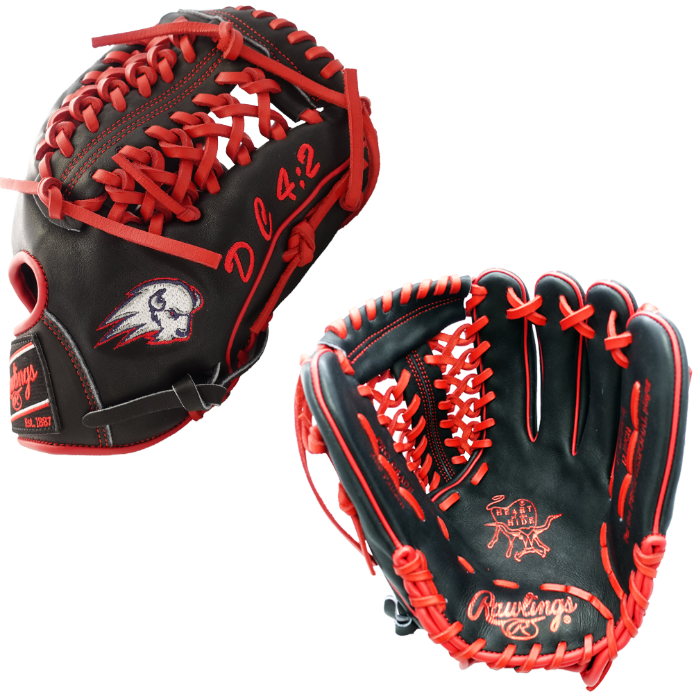 Rawlings Special Order Custom グローブ CUSTOM RAWLINGS HEART OF THE HIDE PRO206-4 - UTAH TECH