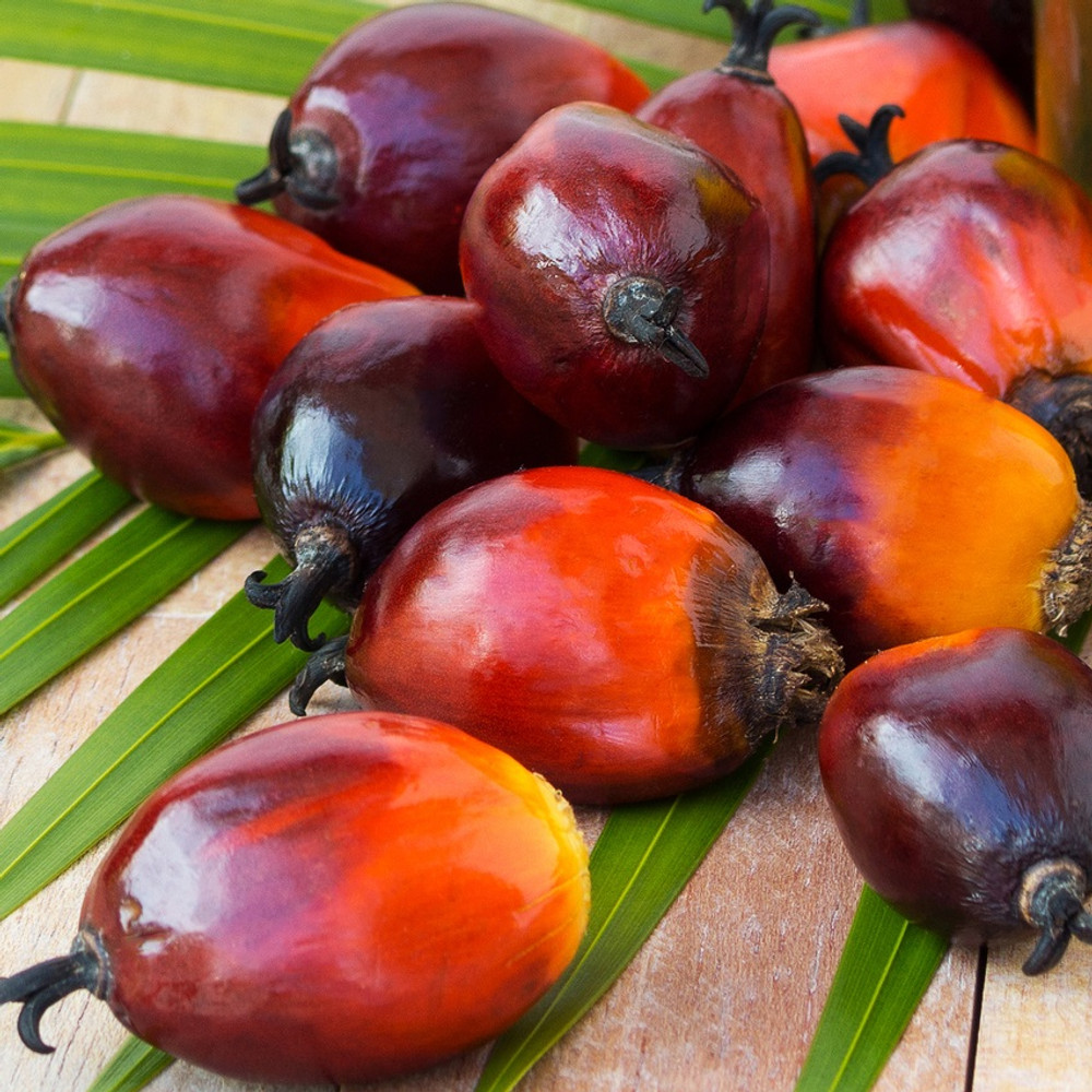 Palm Kernel Oil - Flakes