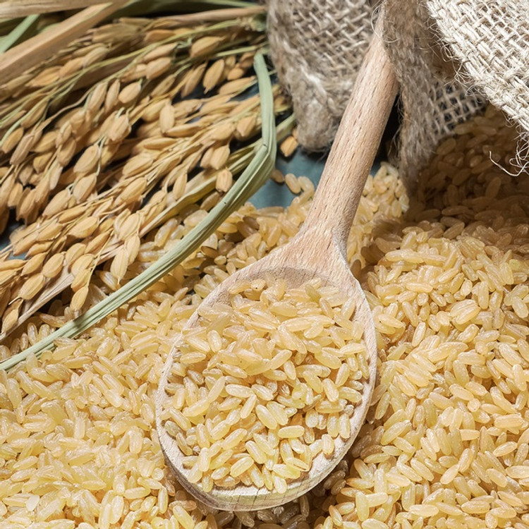 Rice Bran Oil - Refined