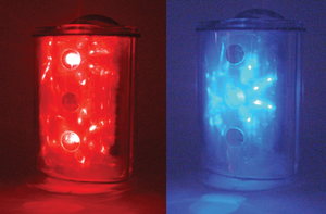 LT2005: Lite Tracker® 2005