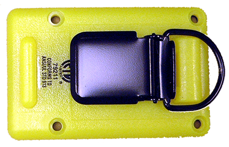 BPS2: Super PASS® 2 Back Plate