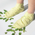 Voesh Odor Relief Treatment Socks