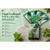Tippi Collagen Pedi in a Box 4in1 - One Mint Julep