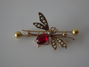 Antique Robert Rollason & Co Sydney 9 ct gold bug brooch set with seed pearls and red gemstone, in original case circa 1900
