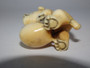 Japanese ivory netsuke of dog with ball, signed.