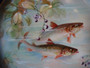 Antique Limoges hand painted fish plate cobalt blue border gold trim 1890s