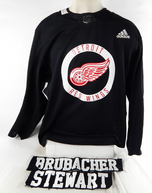 2017 Detroit Red Wings Trevor Taulien #86 Game Used Jersey Brubacher Stewart NP