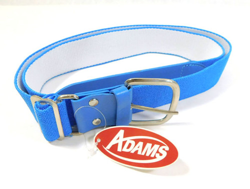 2019 Jeimer Candelario #46 Tigers on June 16th Team Issued Belt MLB COA