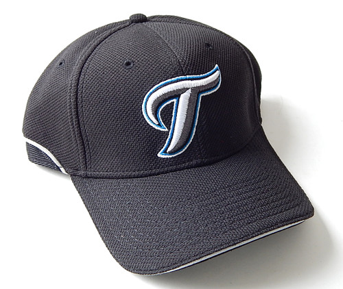 2010 Toronto Blue Jays New Era 39Thirty Batting Practice Cap Hat Stretch Fit S-M