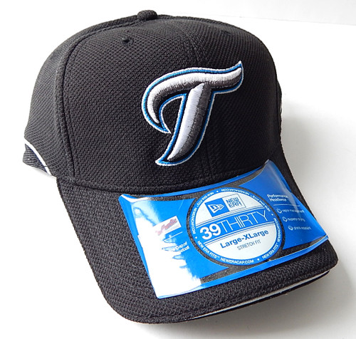 2010 Toronto Blue Jays New Era 39Thirty Batting Practice Cap Hat Stretch -  L-XL