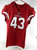 2021 Arizona Cardinals Donald Rutledge #43 Game Issued Red Jersey 42 545