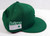 2021 Houston Astros Game Issued Green Hat St Patricks Day 7.25 711279S